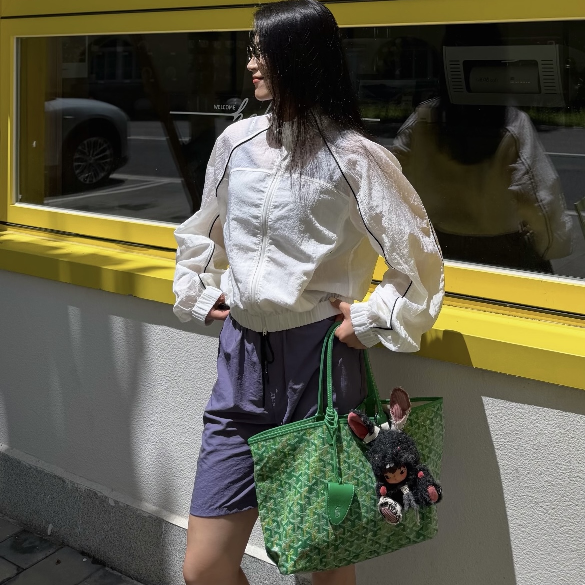 GOYARD 고야드 앙주 백 멀티컬러 리미티드 에디션 ANJOU2PMLTY